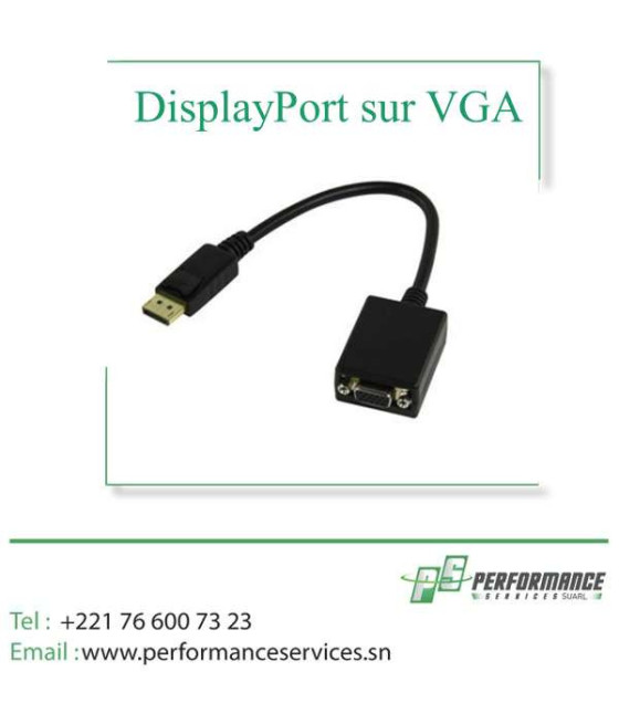 Câble adaptateur Display Port sur VGA