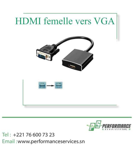 Câble Convertisseur HDMI femelle vers VGA