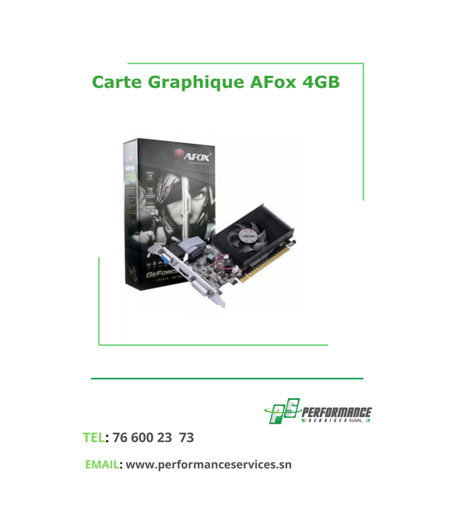 Carte Graphique GeForce AFox 4GB